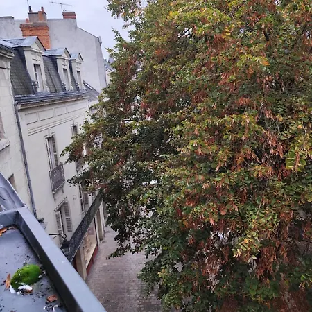 Apartamento Le Velours - Centre - Calme - Cosy *