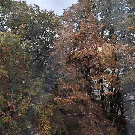 Le Velours - Hyper Centre - Calme Appartement